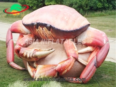 Leading Custom Inflatable Crab For Decoration Supplier